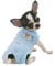LOPHIPETS Girl Dog Shirts Pajamas for Small Teacup Dog Chihuahua Yorkie Puppy Cat Clothes-Cambridge Blue Strips/XXS