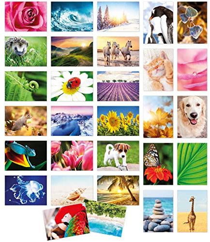 Einladungskarten Manufaktur Hamburg Modernes Design Postkarten Set 30 Karten mit Umschlag, Natur Landschaft Tiere Motive, Flora und Fauna Foto-Postkarte Sammler Collage Karten
