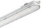 Philips WT120C CoreLine Feuchtraumleuchte, 57W, 1500mm, 8000lm, 4000K (50217899)