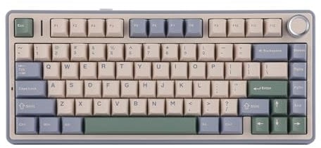 EPOMAKER x Aula F75 Gasket Mechanische Tastatur, 75% Hot swap-fühige Gaming-Tastatur mit Fünf-Schicht-Polsterung&Knopf, Bluetooth/Wireless/USB-C, RGB (Green, Ice Vein Switch)
