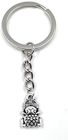 Onwomania - Kleiner Frosch tier Schlüsselanhänger - Metall Glücksbringer ideal als Geschenk z.B. für den besten Freund, die beste Freundin, Mama - Für Männer, Frauen & Kinder