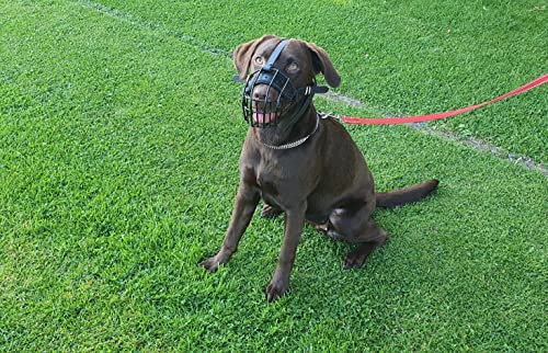 New Polymer coated Wire Muzzle Wire Basket Dog Muzzle STRONG Metal for German Shepherd, Labrador & other small dogs (5)