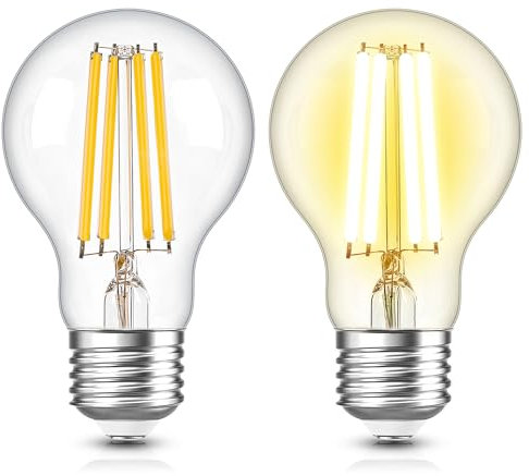 Century Light E27 LED Glühbirne 9Watt Warmweiss 2700K Ersatz für 100W Glühlampe, A19/A60 Kein Flackern Edison Filament Leuchtmittel,1300 Lumens,No-Dimmbar,220-240V (2er Pack)