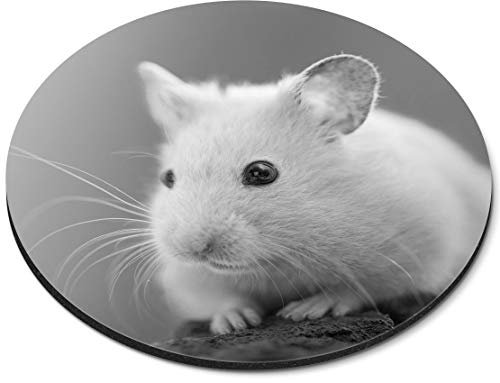 Comfortable Round Mouse Mat (bw) - Beautiful Hamster Pet Animals Rodent 20 cm round (7.9 inches) for Computer & Laptop, Non-slip Base #40961