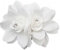Accessoires de cheveux de barrette de pince à cheveux de fleurs de femmes de mode blanche accessoires de cheveux de mariage de mode