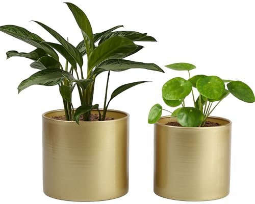 Vixdonos Metall-Blumentöpfe für den Garten, rund, Sukkulenten-Behälter, Packung mit 2 Kaktus-Pflanztöpfen mit Ablaufloch (15 cm + 17 cm, Gold)