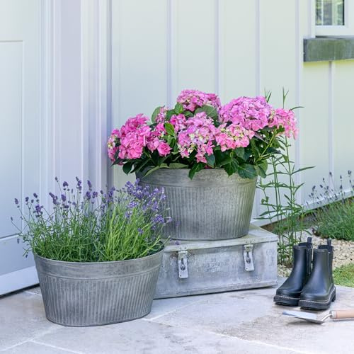 Ivyline Outdoor Galvanised Trough - UV Stable & Frost Resitant - Eco Friendly Outdoor Garden Patio House Home Planter - 28 x 38cm