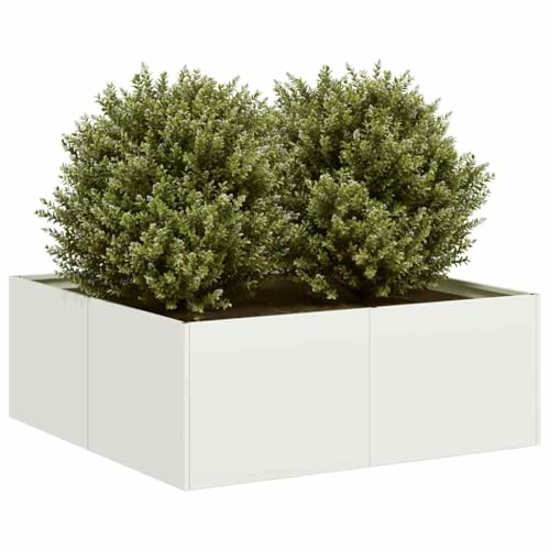 Generico Fioriera Bianca 80x80x30 cm in Acciaio,Casa e Giardino,Prato e giardino,Giardinaggio,Vasi e fioriere-860802