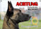 Petsigns Hundeschild - Malinois - belg Schäferhund - Wachhund - uv-beständiges Warnschild, DIN A5