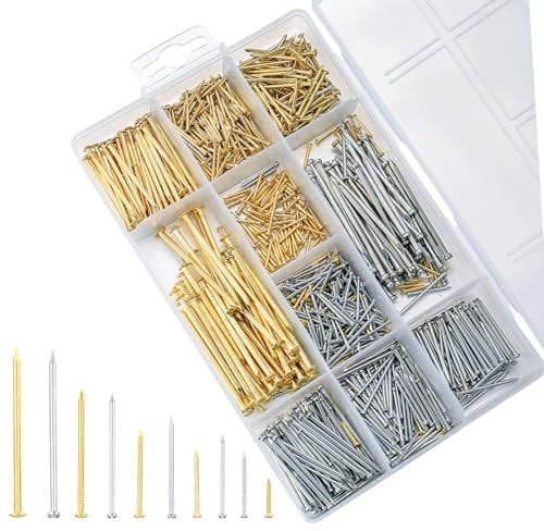 1000 Pz Chiodi per Legno e Quadri, Assortimento Senza Testa e Testa Piatta, per Muro, Specchio, Cartongesso