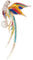 ihreesy Broche Oiseau Multicolore Rétro, Broche Vintage en Émail Broche Animal Phoenix Broche Créative Broche Vêtements Décoration Broche Bijoux Accessoires Manteau Chemise Broche Décorative