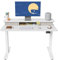 FEZIBO Electric Height Adjustable Standing Desk, 120x60cm, with Double Drawers and Storage Shelf, White