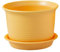 tuwiwol Pot de Fleur Seau Salon Balcon Jardin Trous de Drainage Pot de Fleurs jardinière succulente conteneur avec Soucoupe Fournitures ménagères, Jaune, L【diamètre 18cm】