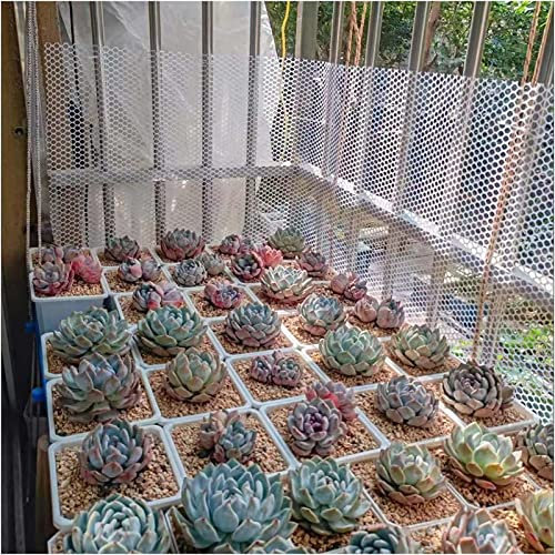 GIAKOO ickens Coops/Catios Plastic Fence Mesh, Hexagonal Fencing Wire for Gardening, Construction Barriers, Making Moss Poles/Wall