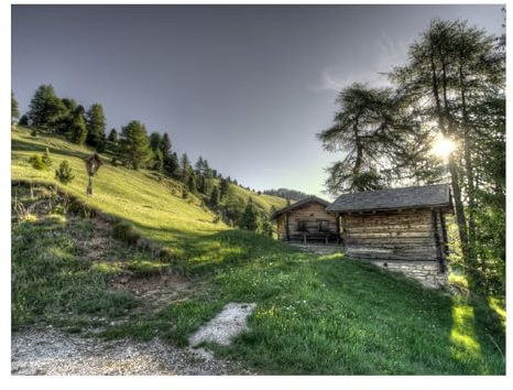 Puzzles 500 Teile Puzzle Impossible Geschicklichkeitsspiel-Struktur,Gras,Bäume,HDR 52x38cm