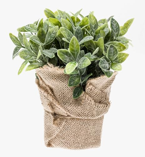 artplants.de Künstlicher Salbei Vitus im Jutesack, grün-weiß, 20cm - Kunstpflanze - Kräuter Pflanze