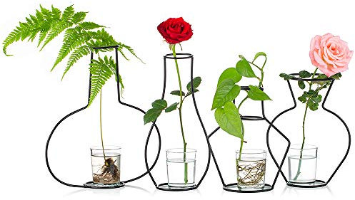 NUPTIO Set mit 4 kreativen Blumentöpfen für den Schreibtisch, mit Glasbecher, Vasen und Metallständer aus Eisen für Wasserpflanzen, Blumengestecke Dekoration (4 Stck)