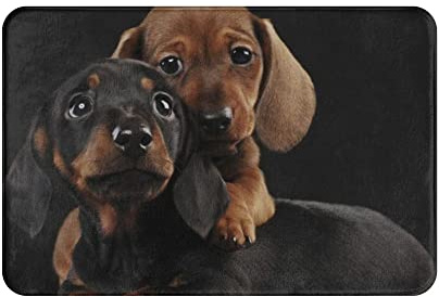Ensound Dachshund Dog Pupy Doormat Non-Slip Door Mat Waterproof Rugs Indoor Carpet Universal Welcome Mats Front Door 24X16 Inch