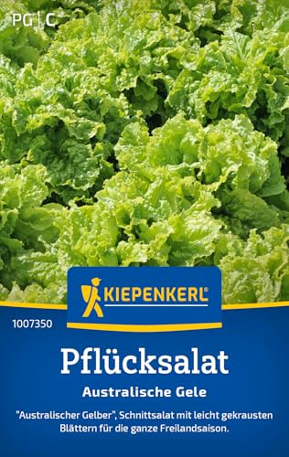 Kiepenkerl Pflücksalatsamen Australische Gele 1007350, Gemüsesaat | Schnittsalat mit leicht gekrausten Blättern für die Freilandsaison, schossfest