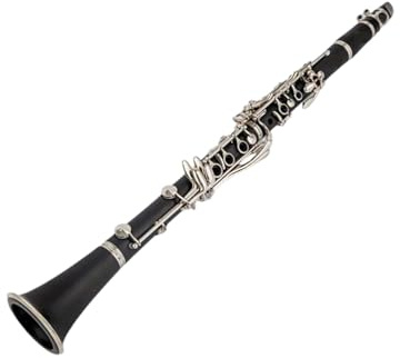 Klarinette B-Klarinette Profi-Instrument Schwarz Mit Koffer Und Zubehör