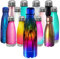 CHILLOUT LIFE Stainless Steel Water Bottle: 17 oz Double Wall Insulated Cola Bottle Shape for Cold and Warm Drinks, BPA Free