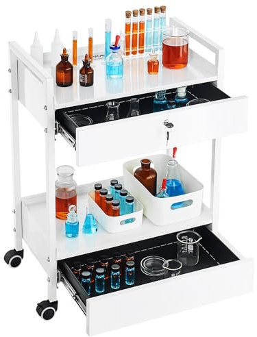 VEVOR Laborwagen 2 Etagen Edelstahl-Allzweckwagen, Medizinischer Wagen, 2 Schubladen, Rollender Laborwagen, Weiß Lackierter Servierwagen mit 360°-Rollen, für Labor, Krankenhaus, Zahnarztpraxis, Salon