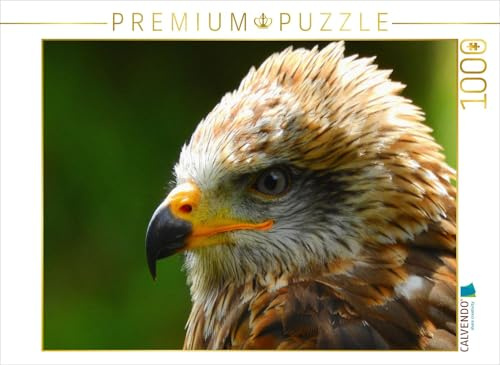CALVENDO Puzzle Steinadler | 1000 Teile Lege-Größe 64 x 48 cm Foto-Puzzle für glückliche Stunden