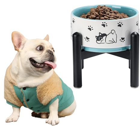 Ceramic Dog Bowl Elevated - Raised Food Water Dish with Stainless Steel Stand - For Small to Medium Dogs - 6 Inch - 2 Cups (30 fl oz) - Teal