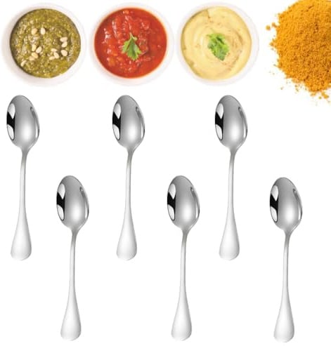KAEGOUSY 6Pcs Tiny Stainless Steel Spoons Mini Condiment Spoons Small Stainless Steel Spice Spoon for Salt Sugar Spices Kitchen Condiments