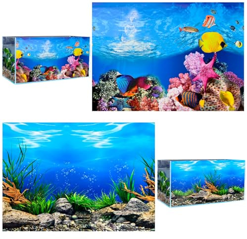 VLYX 3D PVC Aquarium Rückwand 62x30cm, Ozeanökologie Unterwasserthema für Süß- und Salzwasser-Aquarien