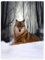 Violetpos Dick Decke Weich Wärme Gemütlich Flanell-Fleece Sofadecke Deckeldecke Wald Mit Schnee Bedeckt Wolf Hund Tarnung Tier 150 x 200 cm
