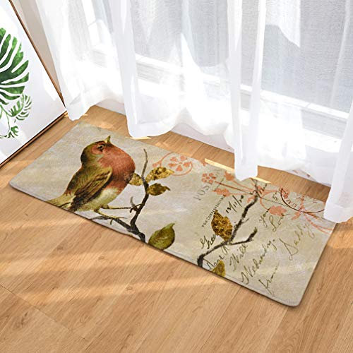 Nunubee Fußmatte Birdie Designe Anti Rutsch Unterlage Wasseraufnahme Teppich Praktische Schmutzfangmatte Haustür Flur Innenbereich Aussen Lustig (Birdie 7-15.7x23.6 Zoll /40x60cm)