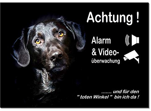 Labrador-Mischling-Alarm + Video überwachung-Schild-3 Größen-Aluminium Verbund-Hund-Tierschild-Hunde-Warnschild-Hinweisschild (1451-100= 30 x 20 cm mit 4 Löcher)