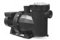 Astral Pool 65560 Filtrationspumpe Victoria Plus leise 0,75 PS einphasig
