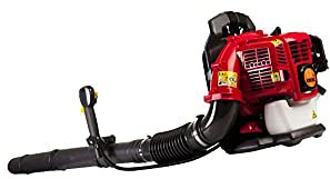 Souffleur sf43 à dos