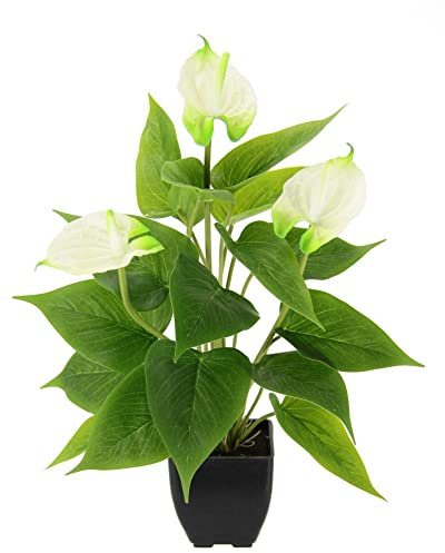 Künstliche Anthurium Pflanze im Topf Anthurie Calla exotische Flamingoblume exotische Blume mit weißen Blüten Flamingopflanze Kunstpflanze Dekopflanze Kunstblume Deko Zimmerpflanze