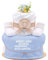 Trend Mama |Windeltorte | Windel wird beladen- Bitte warten | mit Entscheidungsmünze aus Holz |27 Windeln (Größe 2), Baby Lätzchen, Kuschelsocken|Geschenk Geburt (Vorderseite: Mama- Lätzchen hellblau)