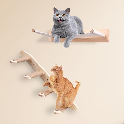 Kletterwand Katze, Katzenkletterbrett und Katzenhängematte, Kletterwand Set 2-Teilig für die meisten Kätzchen, mittlere und große Katzen