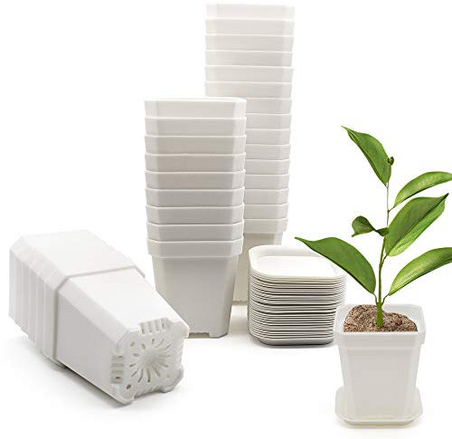 foxany 30 Pcs 3 Nursery Pot, Thick Plastic Square Flower Planting Pots, Plant Seedling Pots, 30 Seed Starting Pots with 30 Saucers - White
