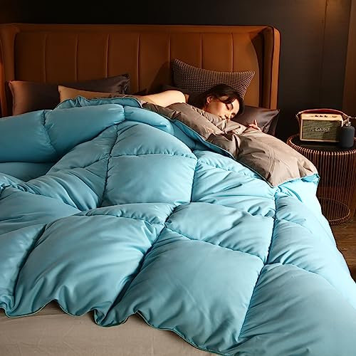 Daunendecke 155x220,Bedding Set,GäNsedaunen Bettdecke Gesteppt Baumwolle Steppdecke Abdeckung Komfortable Und Warme Comforter Winter Thick Blanket