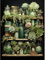 Sukkulente Diamond Painting Erwachsene-Sukkulente Diamant Painting Bilder Erwachsene, Pflanze Diamond-Painting Arts Craft für Home Wand Decor (30x40cm)