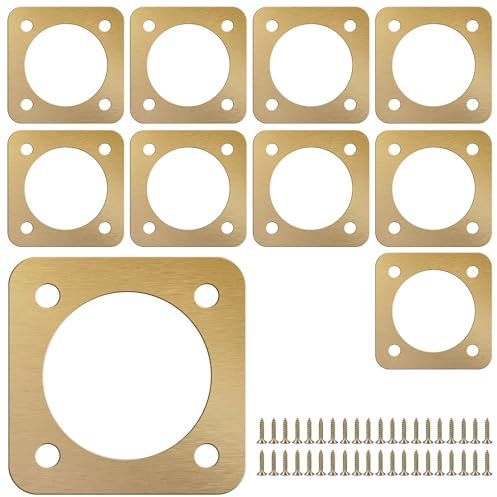 10Pcs Bird Box Protection Plates with Copper Portal, 1.5Inch Opening Rustproof Metal Bluebird House Predator Guard with Screw, Bird House Hole Protector Bird House Guard for Outdoor