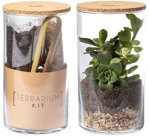Planetacase - Terrario Personalizado con Texto | Kit Ecosistema Cerrado con Semillas de Cactus | Cristal de Borosilicato | Decorativo y Fácil de Usar, Kit con Frasco, Vidrio