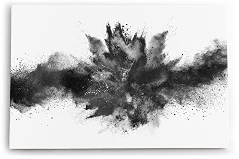 Paul Sinus Wandbild 60x40cm Dekorative Kunst Abstrakt schwarzes Pulver Modern Schwarz Weiß