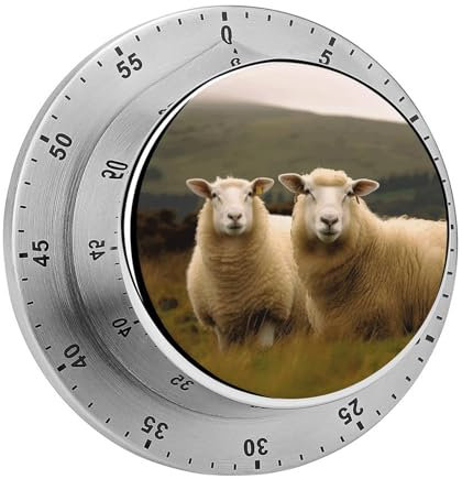 60-Minuten-Aufzieh-Timer, tragbar, zwei weiße Schafe, visueller mechanischer Wecker, Edelstahl, Küchen-Countdown-Timer, magnetischer Countdown für Lernübungen im Freien