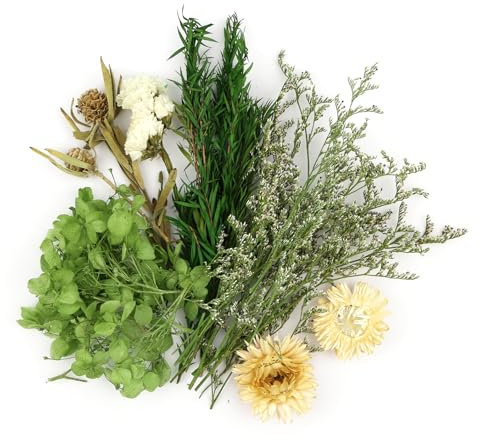Trockenblumen Zum Basteln, Natürliche Getrocknete Blumen, Trockenblumen Klein, Getrocknete Blumen Deko für DIY Handwerk Epoxidharz Scrapbook Fotorahmen Karten Machen(Grün)