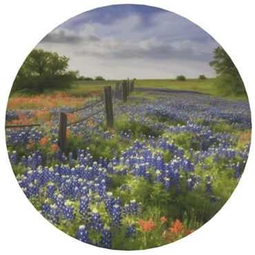 Kühlschrankmagnete für Spind, Whiteboard, magnetischer Kühlschrankmagnet, Texas, Bluebonnets, Landschaftsmagnete, dekorativer Kühlschrankmagnet für Küche, Büro, Glasschrank und Spülmaschine