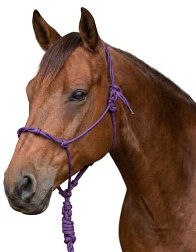 Knotenhalfter Pferd, Trainingshalfter aus stabilem Seil, Rope Halfter Bodenarbeit, verstellbar, Pferdehalfter Pink Lila (Lila, Vollblut (Cob))