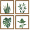 ArtbyHannah Bilder mit Rahmen 4er Set 25x25cm Walnuss-Finish, Quadratisch Wandbilder mit Holz Rahmen, Botanisch Kunstdruck Wanddeko, Badezimmer Schlafzimmer, Vatertagsgeschenk