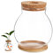 Beaupretty Pflanzen-Terrarium-Zubehör Couchtisch Aquarium Blasenkugelvase Kleines Aquarium Tisch-Aquarium Desktop-Aquarium Peceras Terrarium Gläser Gläser Die Luftblasenflasche